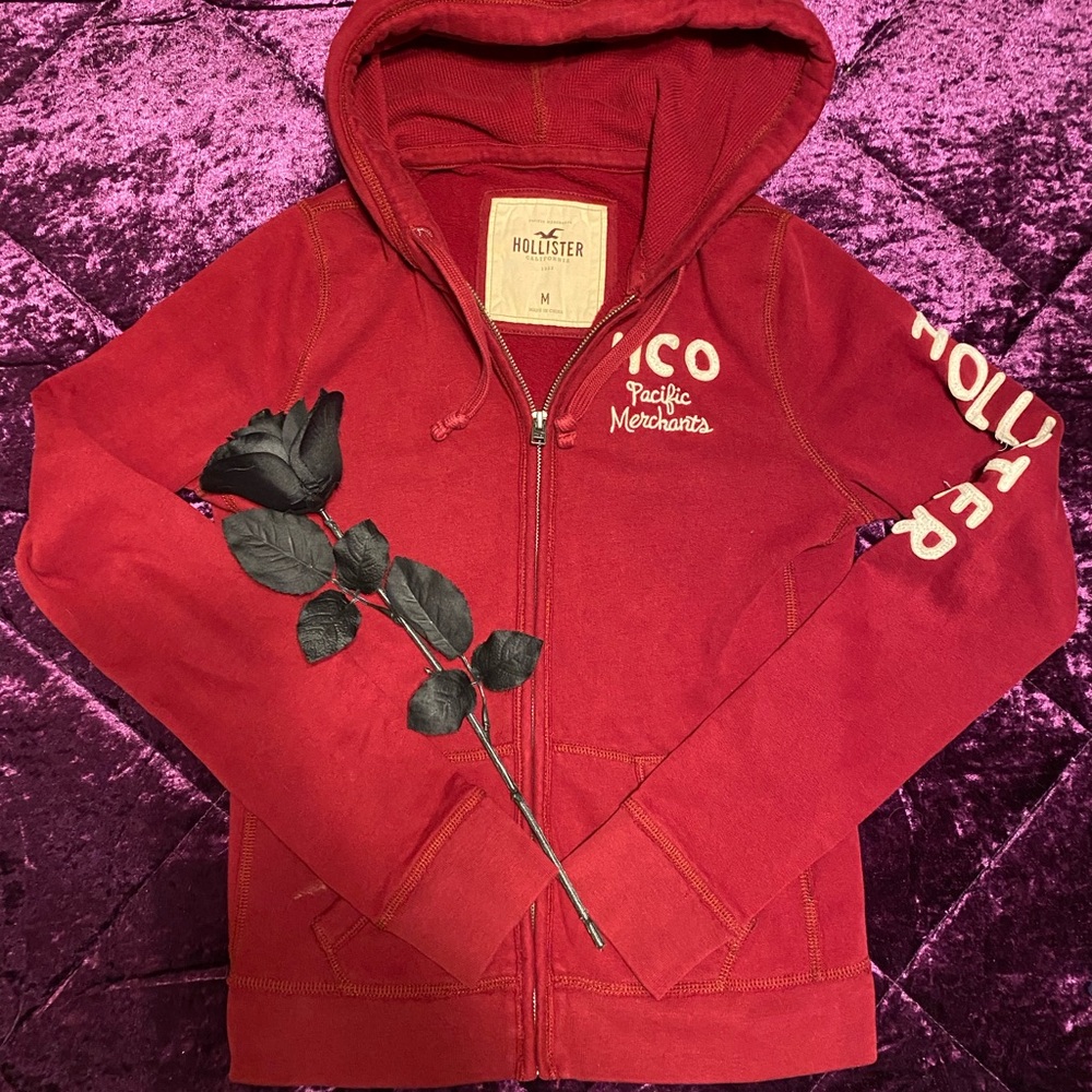 Hollister hoodie